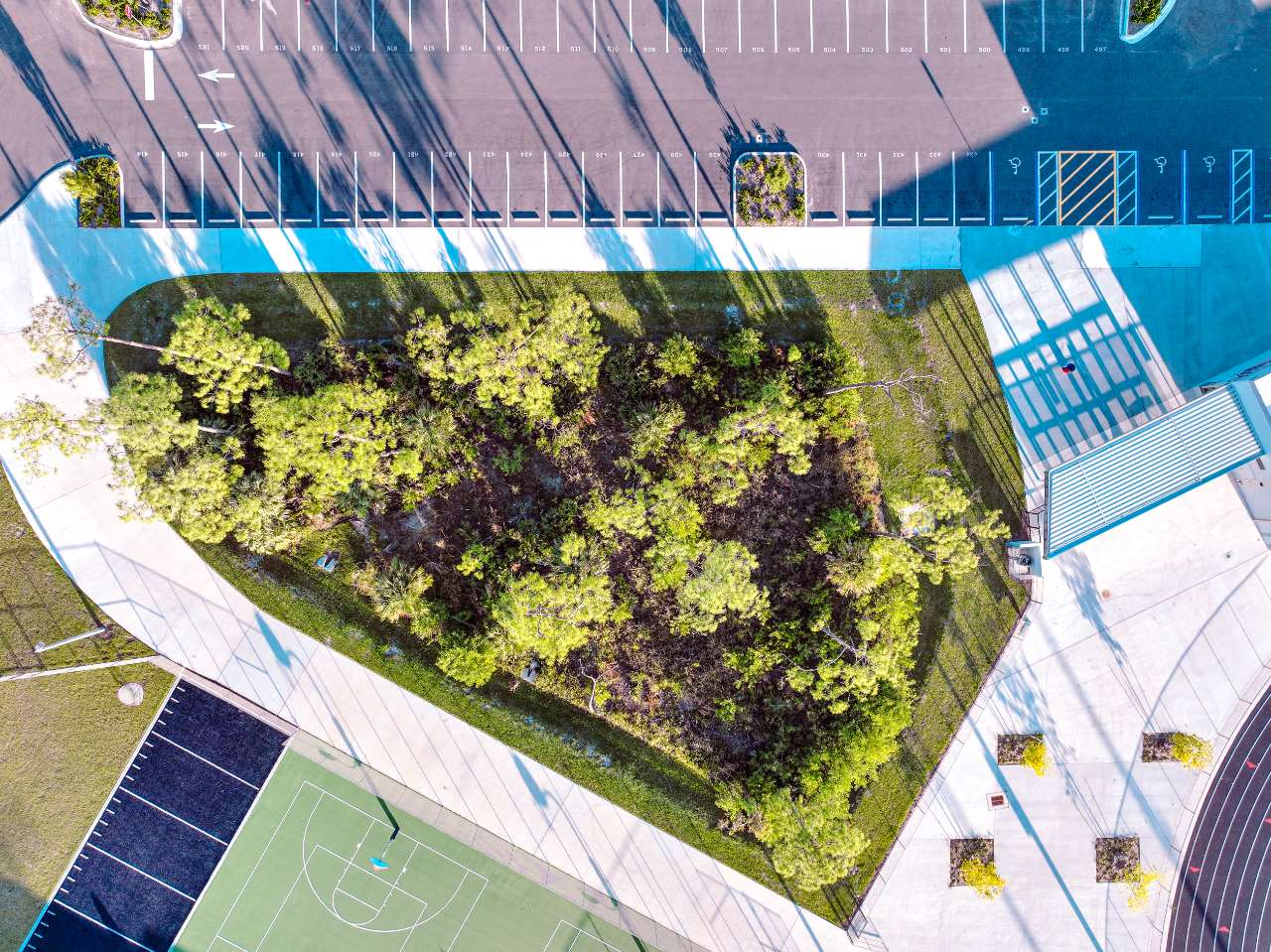 sky view landscaping