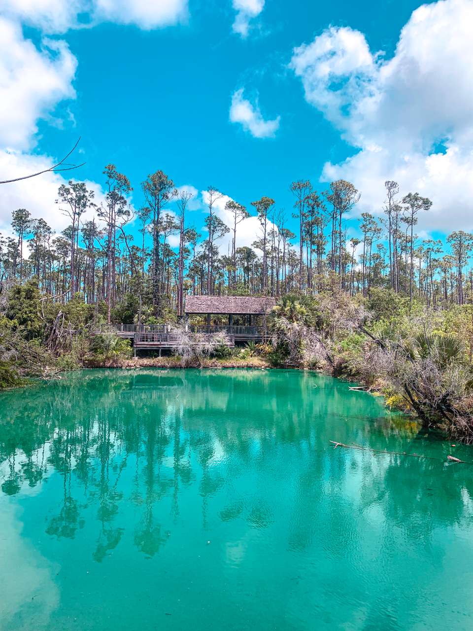 turquoise lagoon