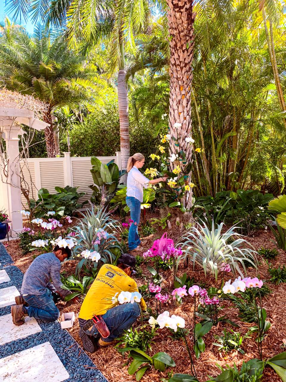 workers planting