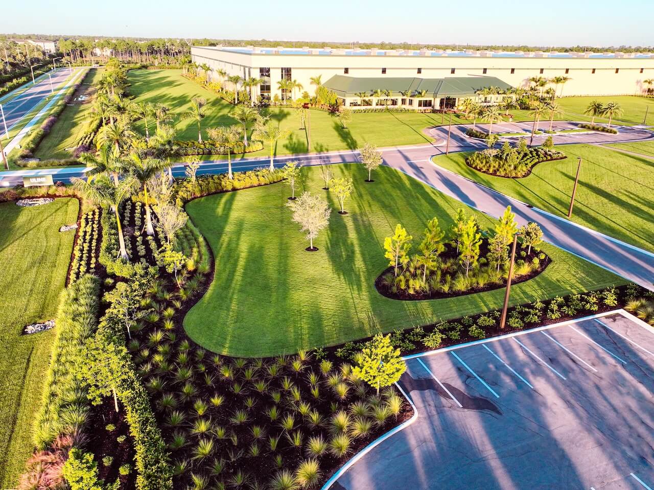 landscaping sky view