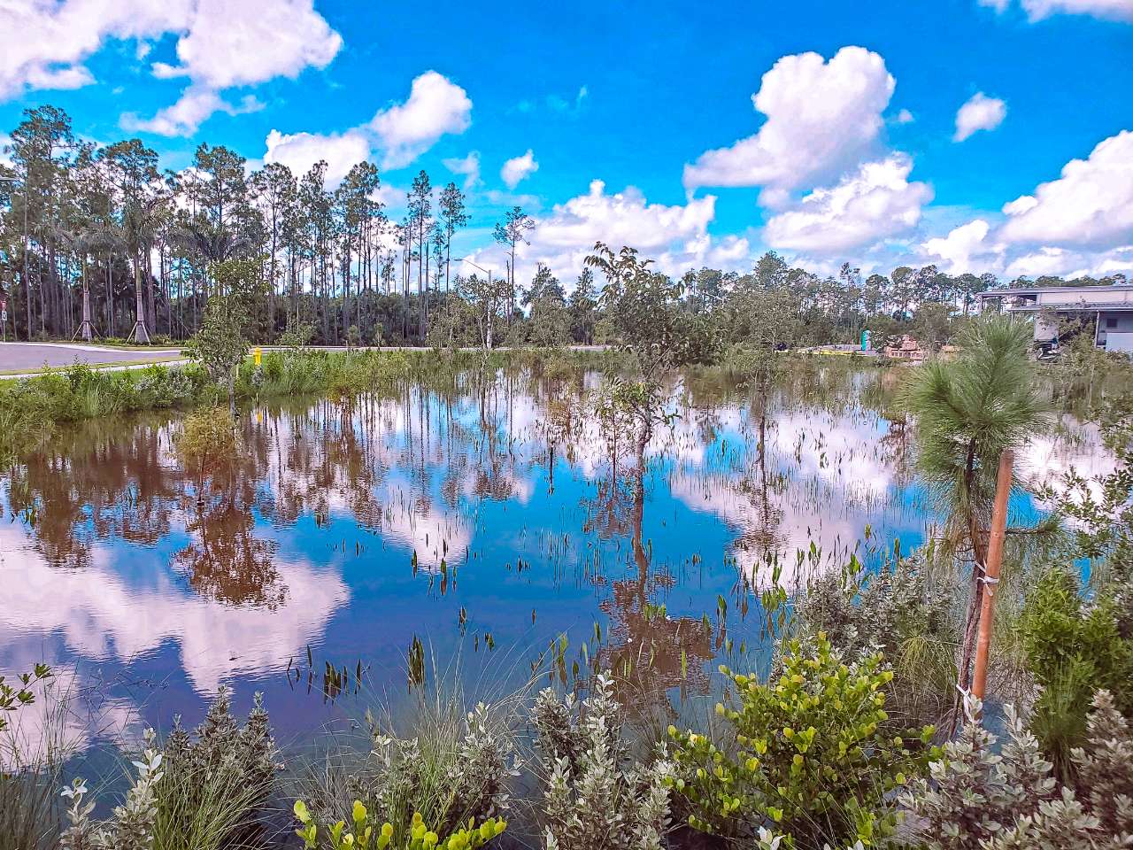 lagoon