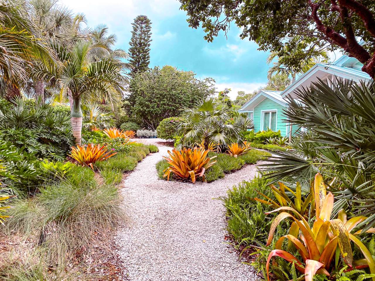 orange flowers