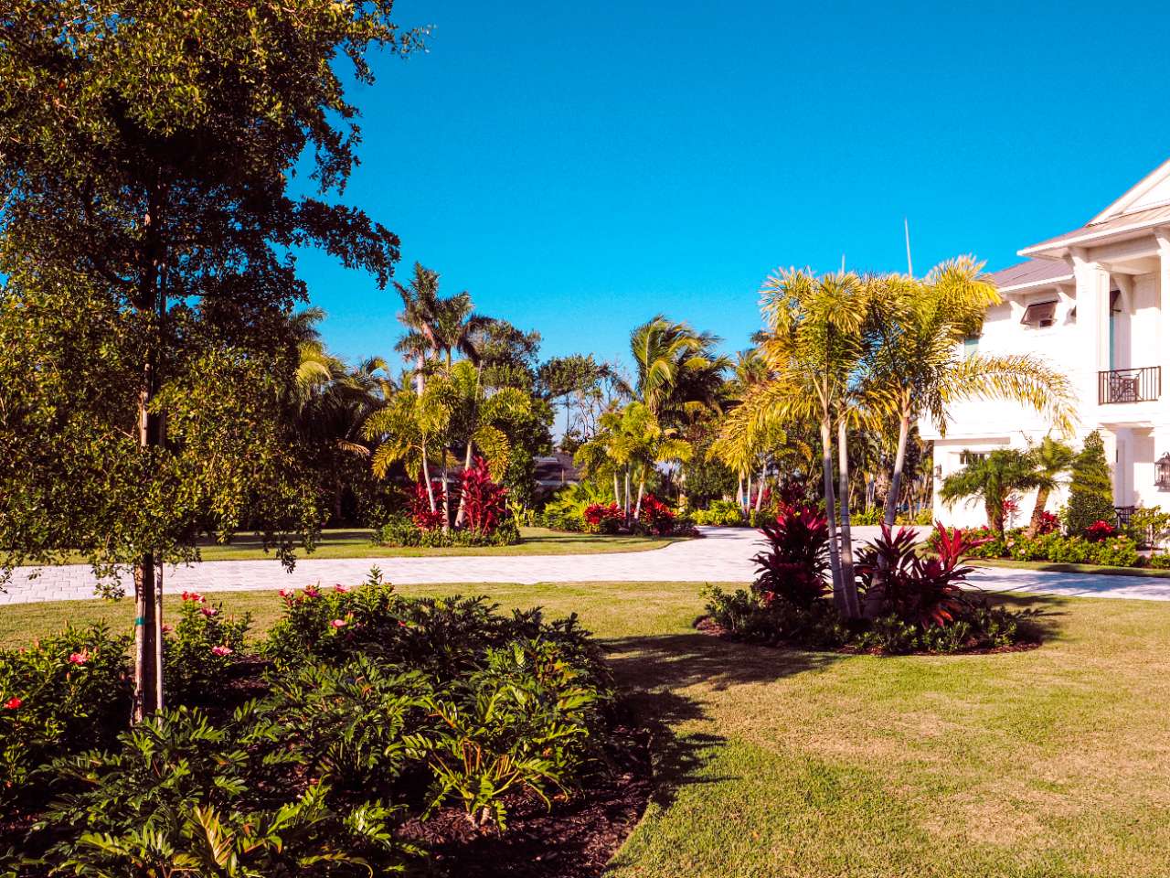 front yard
