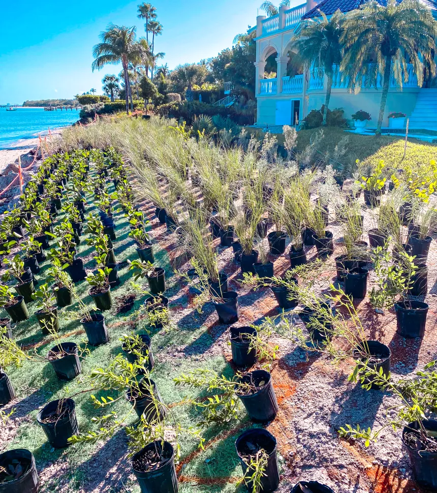 harvest landscaping