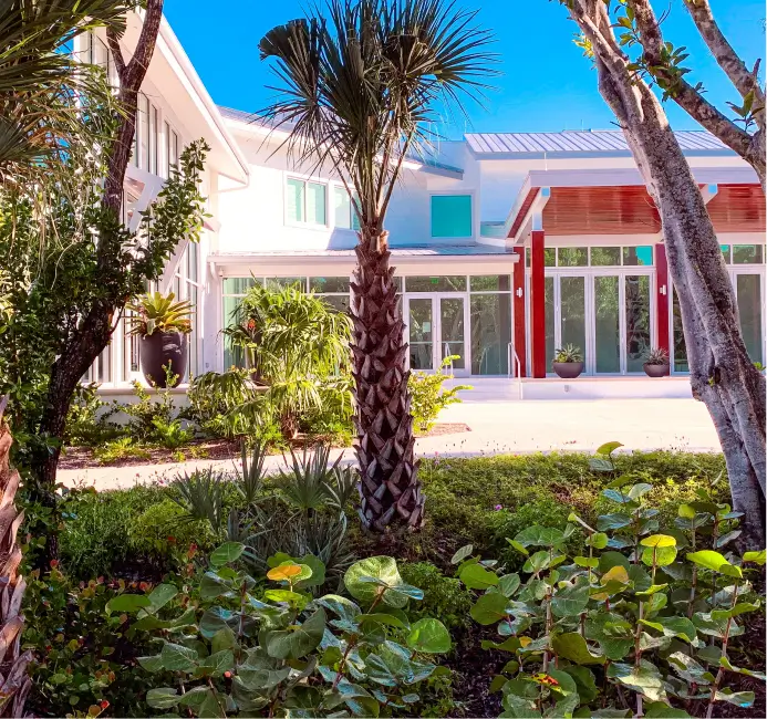 building with trees and palms